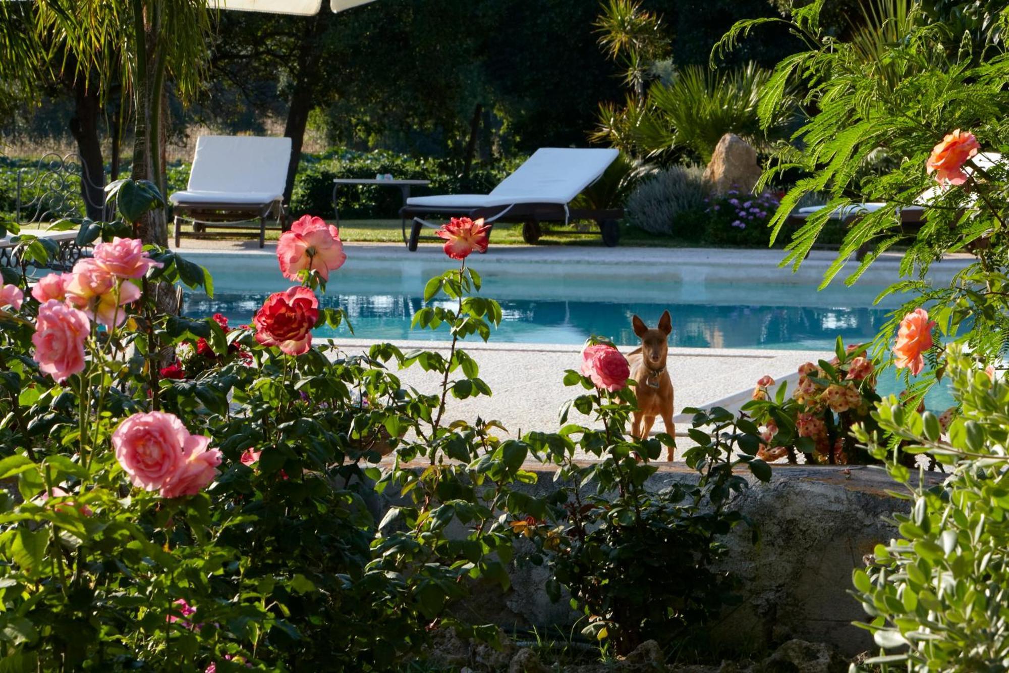 발더라이스 Baglio Sant'Andrea B&B 외부 사진